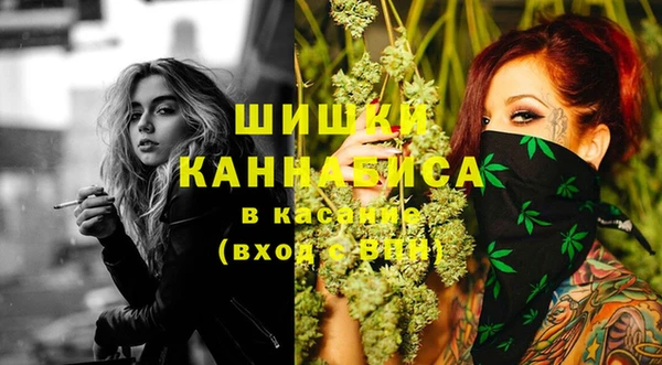 тгк Алзамай
