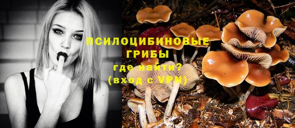 тгк Алзамай