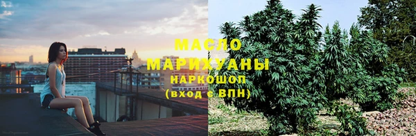 тгк Алзамай