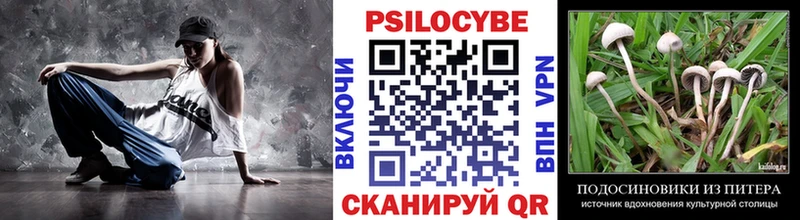 купить закладку  Анапа  Галлюциногенные грибы Magic Shrooms 